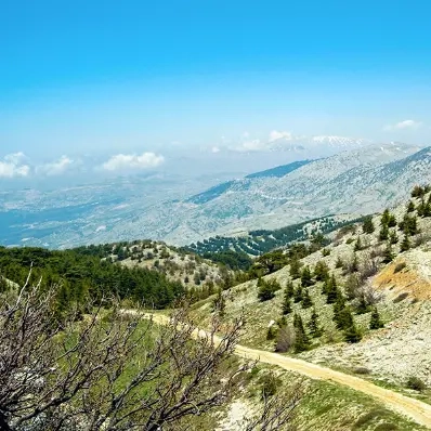 Le Chouf