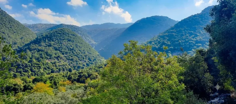 Au cœur de la nature sauvage : randonnées dans les forêts et montagnes du Akkar